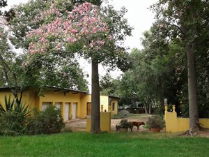 6612 m² Farm in Rietfontein