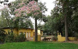 6612 m² Farm in Rietfontein