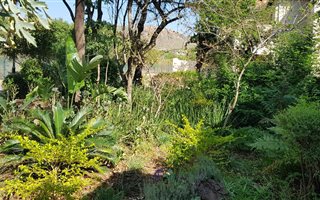 3 Bedroom House in Featherbrooke Estate