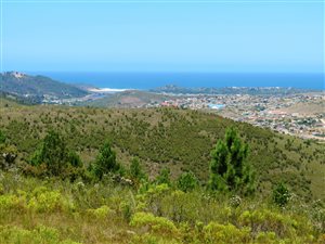 1 ha Farm in Great Brak River
