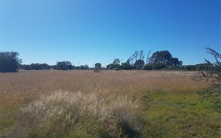 2500 m² Land available in Roodewal and surrounds
