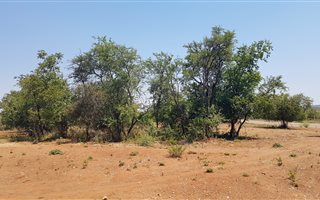 1180 m² Land available in Tijger Valley and surrounds