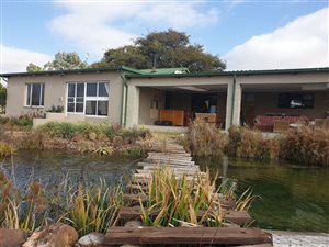8.6 ha Farm in Tarlton