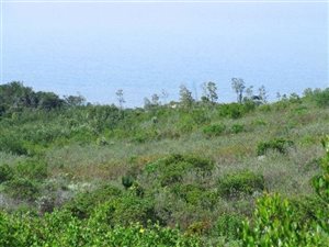 4262 m² Land available in Pezula Private Estate