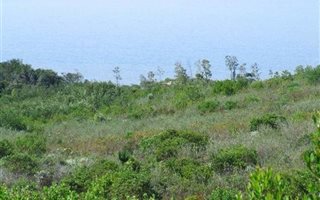 4262 m² Land available in Pezula Private Estate