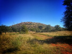 93.4 ha Farm in Klerksdorp