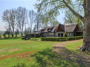 8 Bed House in Rosetta