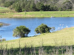 710 ha Farm in Plettenberg Bay Rural