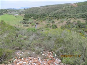 24 ha Farm in Mossel Bay Central