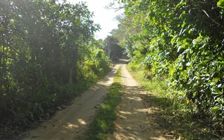 1 ha Land available in Anerley