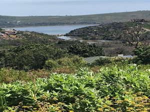 710 m² Land available in Eastford