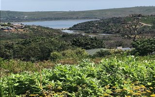710 m² Land available in Eastford
