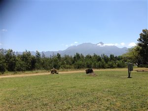 3968 m² Land available in George South
