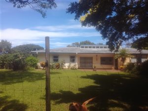 1.5 ha Smallholding in Margate