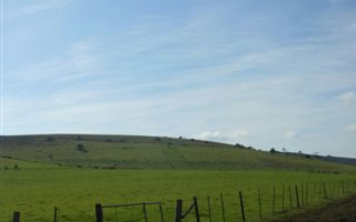 1331 ha Farm in Alexandria