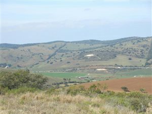 1331 ha Farm in Alexandria