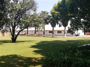 100 ha Farm in Hartswater