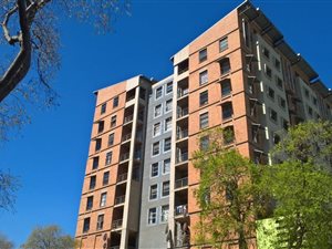 Bachelor apartment in Hatfield