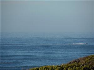 754 m² Land available in Paradise Beach
