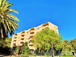 3 Bed Apartment in Arboretum