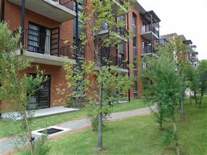 1 Bed Apartment in Melrose