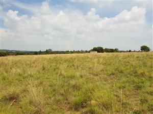 5.1 ha Land available in Donkerhoek