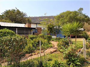 29 ha Farm in Kameeldrift