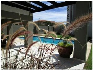 1 Bed Apartment in Sunninghill