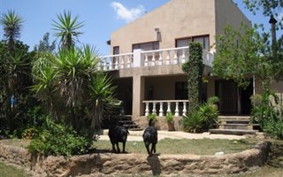8652 m² Farm in Chartwell
