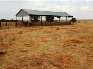210.3 ha Farm in Brandfort
