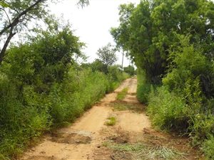 1 ha Land available in Kameeldrift East