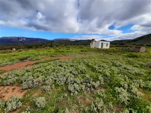 292 ha Farm in McGregor