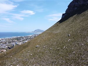 22.3 ha Smallholding in Bettys Bay