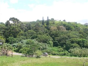 1580 m² Land available in Elysium