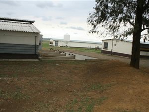 4.3 ha Farm in Deneysville