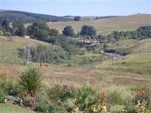 32 ha Farm in Howick