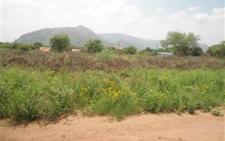 1482 m² Land available in Olifantsnek