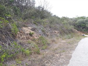 700 m² Land available in Boknesstrand