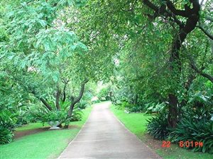 4600 m² Farm in Derdepoort