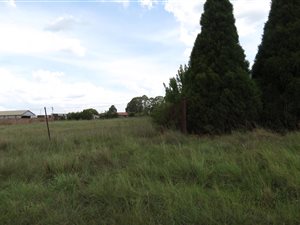2855 m² Land available in Belfast