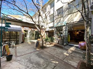250 m² Commercial space in Auckland Park