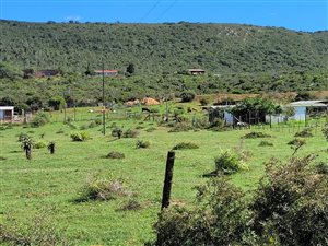 Farm in Uitenhage Central