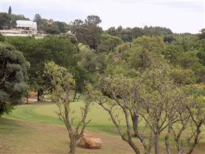 1 Bed Apartment in Waterkloof