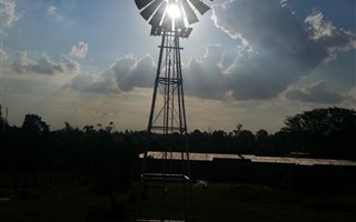 4 m² Land available in Bethal