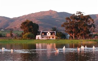 140 ha Farm in Paarl