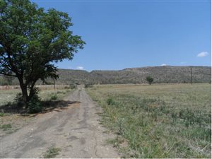 10.8 ha Farm in Hekpoort