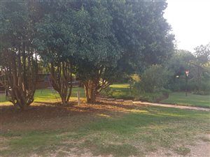 8.6 ha Farm in Wilgeboom AH