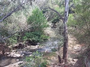 1.8 ha Farm in Muldersdrift