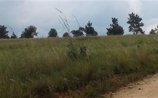 2 ha Land available in Nooitgedacht