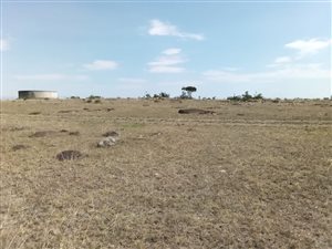73 ha Land available in King Williams Town